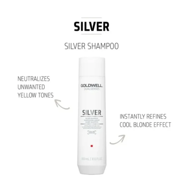 Silver Shampoo